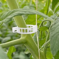 Clips Pour Tomates De jardin Clips Tomate Pour La Culture De Tomates Sous Serre