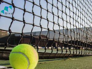 Haute Qualité Pas Cher Personnalisable Noué/Sans Noeuds Sports <span class=keywords><strong>De</strong></span> Balle Football Cricket Volley-Ball <span class=keywords><strong>Sport</strong></span> <span class=keywords><strong>Protection</strong></span> Net - Product Image 5