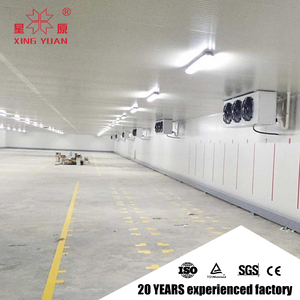 Stanza fredda per la camera dei frutti di mare passeggiata di coltivazione di funghi nel congelatore profondo - Product Image 2