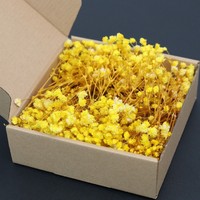 Hete Aanbieding 50 Stelen Mini Natuurlijke Everlasting Gedroogde Bloem Baby's Adem Ge conserveerde Gypsophila Bruiloft Decoratie Corsage Uitnodiging