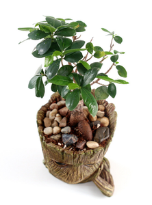 Hecho a mano decoración del hogar moderno diseño personalizado poliéster <span class=keywords><strong>groot</strong></span> pote de flor - Product Image 6