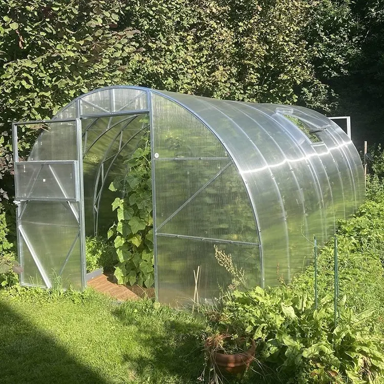 Nouveau design de serre tunnel en acier galvanisé à porte unique de jardin en polycarbonate