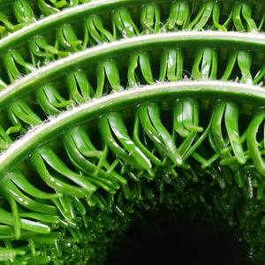 <span class=keywords><strong>Gazon</strong></span> artificiel de qualité supérieure pour le lavage de l'or, tapis vert pour l'extraction de l'or, <span class=keywords><strong>gazon</strong></span> en PE pour le lavage de l'or, spécial pour l'extraction de l'or - Product Image 2