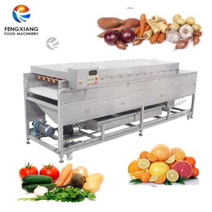 Laveuse-polisseuse à rouleaux pour légumes-racines et fruits (pastèque, pomme, prune, pruneau, pomme de terre) avec brosse souple - Product Image 1