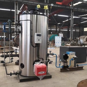 Vertical 100kg 150kg 200kg 250kg 300kg 350kg 400kg 500kg 600kg 750kg 1000kg h Gas LPG diesel Caldera de vapor - Product Image 2