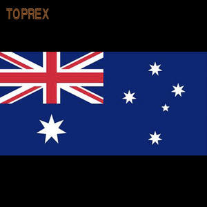 Decoración navideña comercial Toprex, impermeable, para exteriores, con banderines, poste de bandera LED en RGB, azul, rojo, rosa, colores emisores - Product Image 5