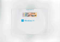 Windows 11 Pro DVD - Versión Coreana OEM - Activación Global en Línea 100% - Personalizable - Garantía de Calidad de 6 Meses