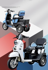 Triciclo <span class=keywords><strong>de</strong></span> 3 Ruedas <span class=keywords><strong>de</strong></span> Nuevo Diseño, 1000W, Scooter <span class=keywords><strong>de</strong></span> Movilidad con 3 Asientos Ajustables, 48v, Bicicletas Urbanas - Product Image 6