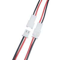 10cm Jst Ph 2.0mm Pitch 2-pin kabel jantan dan betina Harness soket Terminal kabel Harness