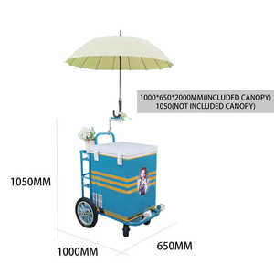 Chariot Pousse-Pousse en Acier Inoxydable pour Vente de Glaces et Esquimaux, un Best-Seller - Product Image 2