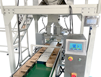 Machine de dessin animé de type vertical Machine d'emballage de cartons à vis personnalisés non standard