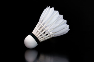 Volant de badminton <span class=keywords><strong>Pro</strong></span> de haute qualité balle en plumes d'oie durable avec tête en liège PU pour l'entraînement sportif-prix raisonnable - Product Image 4