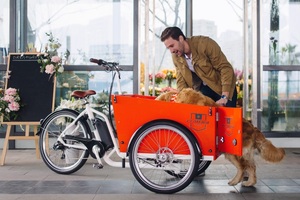 Porte avant ouverte <span class=keywords><strong>pour</strong></span> prendre le <span class=keywords><strong>chien</strong></span> vélo à trois roues vélo <span class=keywords><strong>cargo</strong></span> électrique moteur 250W vélo <span class=keywords><strong>cargo</strong></span> électrique - Product Image 2
