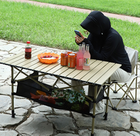 Barbecue portable en acier au carbone pour la vente ambulante, les pique-niques, le camping et l'usage domestique, avec grille pliable réglable en hauteur, mobilier d'extérieur