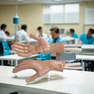 DARHMMY Modelo de Piel para Artroscopia de Muñeca de PVC Duradero de Alta Calidad BOU/LV66 para Uso en Escuelas de Ciencias Médicas, Tamaño Natural, Entrenamiento Clínico - Product Image 2