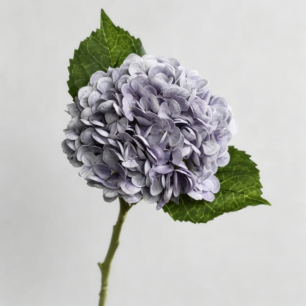 Grigio viola