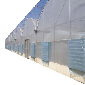 Besar pertanian rumah kaca modern taman plastik film terowongan tomat sayuran biji pembibitan Rentang Hijau struktur rumah