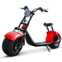 EEC COC certifié 60V 20ah Double batterie Citycoco 1500W 2000W 3000w gros pneu scooter électrique véhicule à deux roues