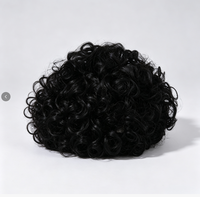 Perruque pour animaux de compagnie, pour chats et chiens, perruque afro universelle pour Halloween, accessoires capillaires personnalisés, toutes saisons