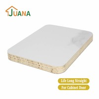 Panneau de porte d'armoire JUANA en nouveaux matériaux, non déformable, avec âme en contreplaqué EV et panneau LVTT
