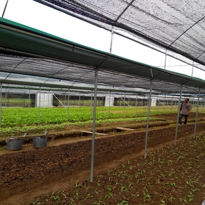 PE UV impermeable jardín planta valla malla 6 aguja 60% negro parasol tela vela y cubierta de red rollo para invernadero agrícola - Product Image 5