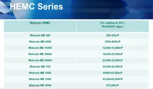 Welldone hemc/HEC/HPMC hydroxy Ethyl cellulose HEC 100000 hydroxyethylcellulose HEC cho sơn