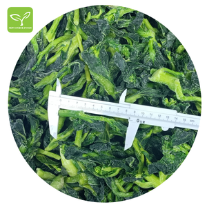 La mejor calidad de flor de colza congelada para ventas calientes - Product Image 3