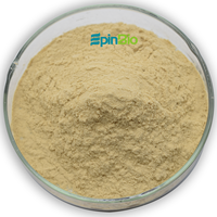Poudre de levure enrichie en zinc de haute qualité 2000 ppm, qualité alimentaire, extrait végétal, supplément, 40 % de protéines, 80 mesh, emballée en fût