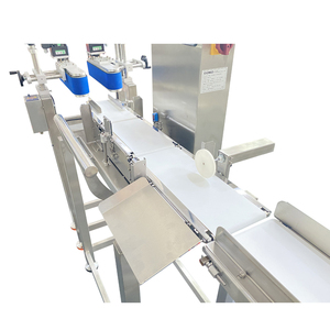 Contrôleur de poids bibo pour les bouteilles et les condiments sous-poids, sur-poids ou vides - Product Image 5