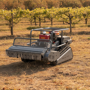 Meilleures ventes CE EPA Tondeuse à fléaux sur chenilles télécommandée pour exploitation agricole et verger, tout-terrain, puissante, à essence - Product Image 1