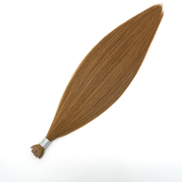 Extensions de cheveux humains de qualité supérieure, pointe en Y, double épaisseur, échantillon gratuit, style éventail, aspect naturel, texture douce, mèches professionnelles pour salon