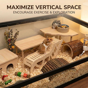 Ensemble de jeu pour hamster en bois gravé fait main, design moderne, plateforme et tunnel en bois naturel, Artware - Product Image 2
