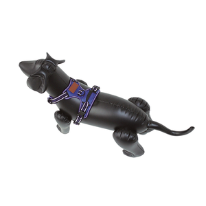 <span class=keywords><strong>Harness</strong></span> Anjing Rompi Dada Anjing Disesuaikan Ukuran <span class=keywords><strong>Harness</strong></span> Anjing - Product Image 5