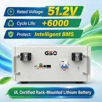 US-Standard 51,2V 100Ah Rack-Montierte LiFePO4-Batterie 5kWh Lithium-Eisenphosphat-Solarenergiespeicherbatterie