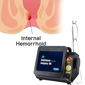 Láser profesional portátil Tratamiento de hemorroides Longitud de onda dual 980 1470nm Dispositivo láser de diodo - Product Image 3