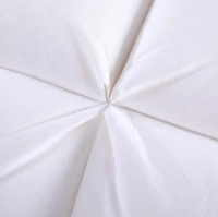 Oreiller en microfibre Queen Size de haute qualité 100% coton 233TC tissu imperméable blanc motif solide extérieur 5 étoiles qualité hôtelière