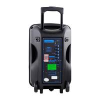 Haut-parleur de karaoké portable actif de 12 pouces, batterie Li 7,4 V 2200 mAh, vente chaude, bonne qualité, haut-parleur audio PA DJ
