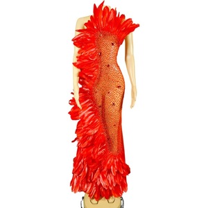 Sexy <strong>Red</strong> Crystal See Through Feathers Mermaid <strong>Dress</strong> Women Prom Long <strong>Dress</strong> Stage Costume Rhinestone Wedding Evening Party <strong>Dress</strong> - Product Image 1