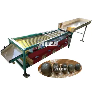 fruit and vegetables sorting machine in india