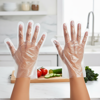Gants en plastique transparents pour la coloration des cheveux / salon de coiffure / barbier / soins des animaux
