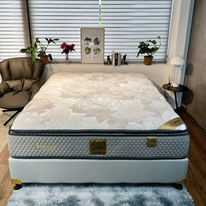 नरम और चमकदार स्मृति गद्दे एंटीमाइक्रोबियल गोल्ड लक्जरी आधुनिक बेडरूम फर्नीचर सेट पॉकेट स्प्रिंग स्कूल के अनुकूल वाइटनम - Product Image 4