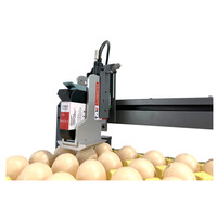 Printer Tray Telur Profesional TIJ Hot Foam Nozzle 600DPI Presisi Kertas Otomatis Bersertifikasi CE RoHS Kualitas Industri