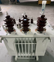Transformateurs immergés dans l'huile en aluminium S11-M-50/10