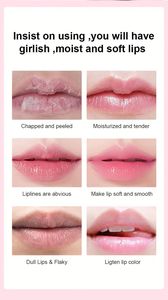 Bálsamo Labial Rosa de Ensueño en Stock, Etiqueta Privada Personalizada, Orgánico, Vegano, Colágeno, Exfoliante Labial de Azúcar con Burbujas, Kit de Cuidado Labial - Product Image 4