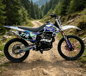 Moto tout-terrain professionnelle 250cc, moteur Zongshen CB250-F, moto à essence pour adultes, course enduro, motocross - Product Image 5