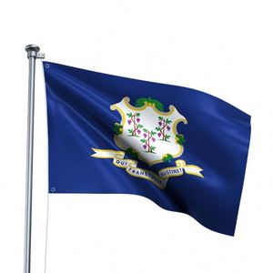 Drapeau du Connecticut 3x5 pieds en polyester imprimé, bannière de l'État américain pour la décoration extérieure de jardin et de cour - Product Image 2