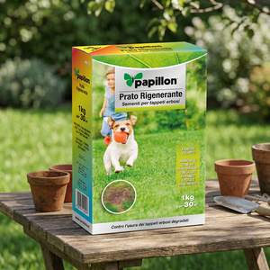 Graines de gazon pour réensemencement 1 Kg. - Product Image 2