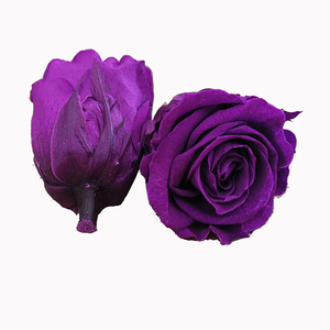 Offre Spéciale préservé rouge coupées fraîches roses fleur <span class=keywords><strong>tête</strong></span> dans une boîte cadeau pour mur de fleurs artificielles - Product Image 5