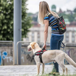 طوق للحيوانات الأليفة بالجملة، طراز سترة قماشية للكلاب X2، حزام صدر للأنشطة، قابل للتمدد وقابل للسحب، إغلاق بمشبك بشعار، للحيوانات الصغيرة والمتوسطة - Product Image 2