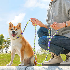 Correa de cuero de lujo de calidad superior personalizada para perros, correa de poliéster fuerte de dos cabezas para perros para caminar al aire libre y correr - Product Image 6